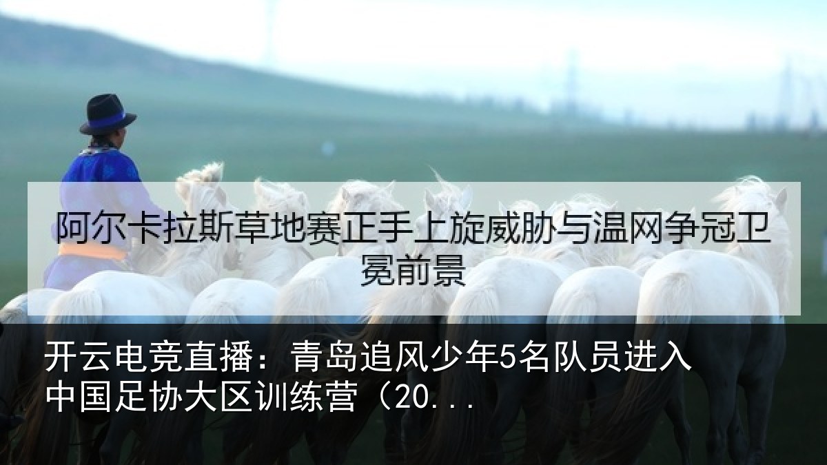 开云电竞直播:青岛相关情况入中相关情况(20...
