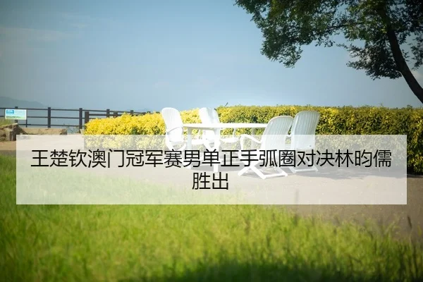 wang-chu-qin-ao-men-guan-jun-sai-nan-dan-zheng-shou-hu-quan-dui-jue-lin-yun-ru-sheng-chu-2-222.jpg